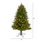 4ft. Pre-Lit Vermont Spruce Artificial Christmas Tree, Color Changing LED Lights